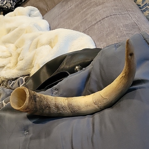 Antique Sheep's Horn,Perfect Carving of the #309. - Picture 3 of 8